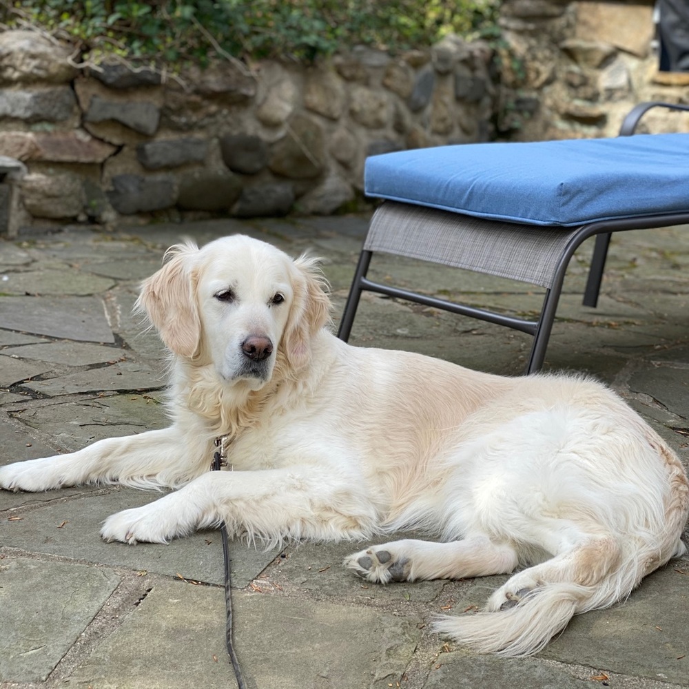 Meet your Posher, Sofie